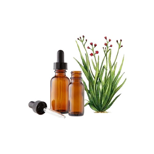 Palmarosa Oil, for Medicine Use, Feature : Fine Purity, Freshness, Hygienically Packed