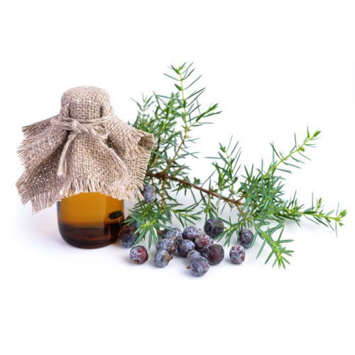 Juniper Berry Oil, for Cosmetic Uses, Medical Uses, Grade : Pharma
