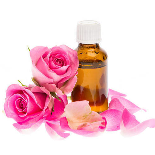 Rose oil, Packaging Size : 10-20 ml