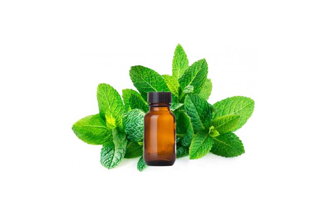 Spearmint oil, for Healing Wounds, Feature : Aroma Fragrance, Promotes Oral Health