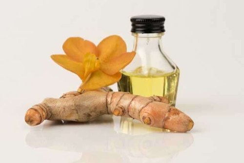 Organic Turmeric Root Oil, for Home Use, Feature : High In Protein, Low Cholestrol