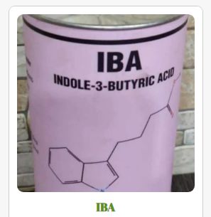 IBA Fertilizer