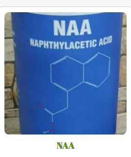 NAA Naphthaleneacetic Acid
