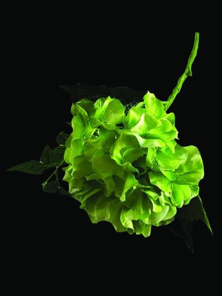 Hanawa Green Artificial Flowers, for Decoration, Gifting, Occasion : Festivals, Party, Wedding