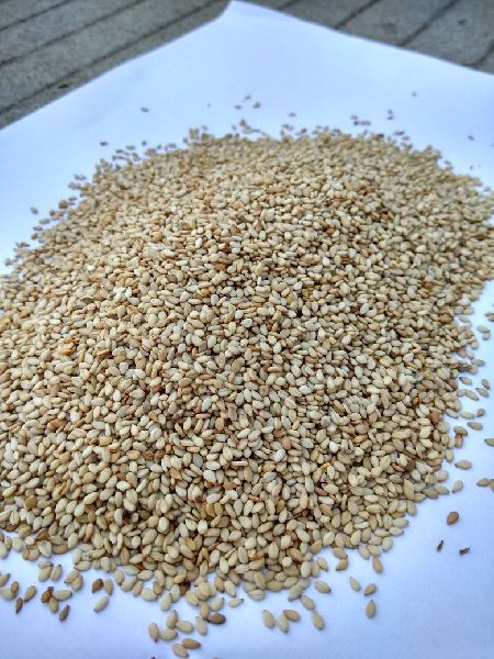 Sesame Seeds