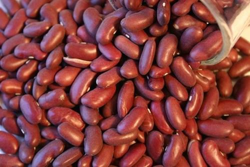 Freeze Dried Kidney Beans