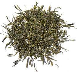 Organic Green Tea Leaves, For Slimming, Packaging Type : Pouches