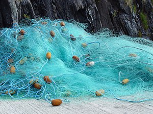 Polyester Commercial Fishing Net, Weave Style : Plain Weave