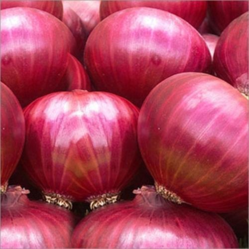 Fresh Pink Onion, Quality Available : A Grade