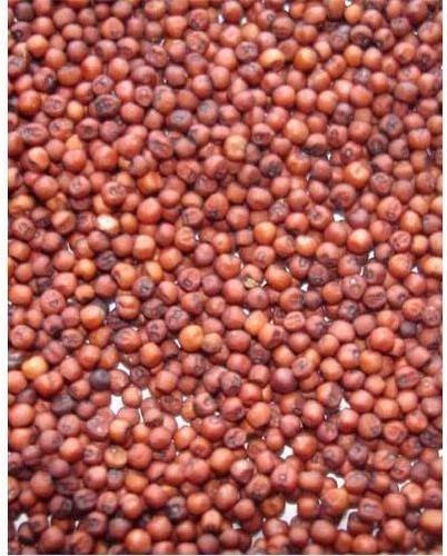Ragi, for High in Protein, Form : Seeds