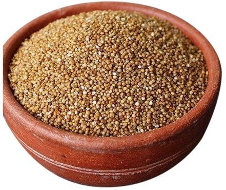 Organic Kodo Millet