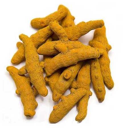 Polished Conventional turmeric finger, for Spices, Food Medicine, Packaging Size : 25/50 kgs