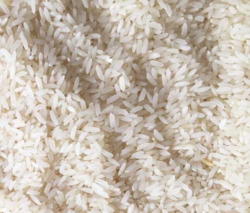 Organic Non Basmati Rice, Color : Off white