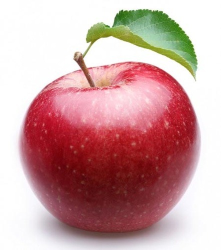Fresh apple, for Human Consumption