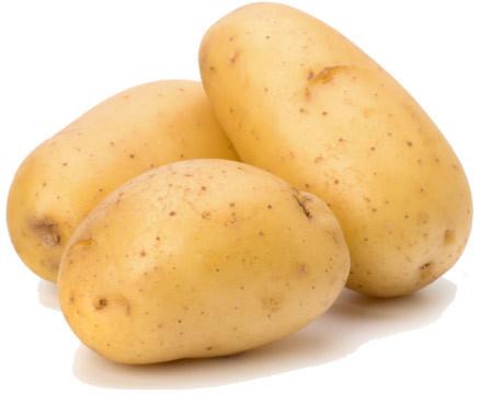 Natural fresh potato, for Home, Restaurant, Snacks, Packaging Type : Sack Bag