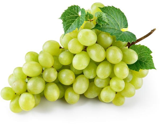 Fresh grapes exporter from India, Color : Green