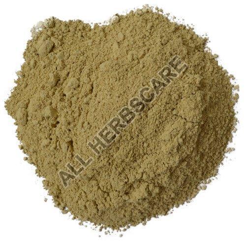 Organic Bhumi Amla Powder, for Medicine, Color : Brown