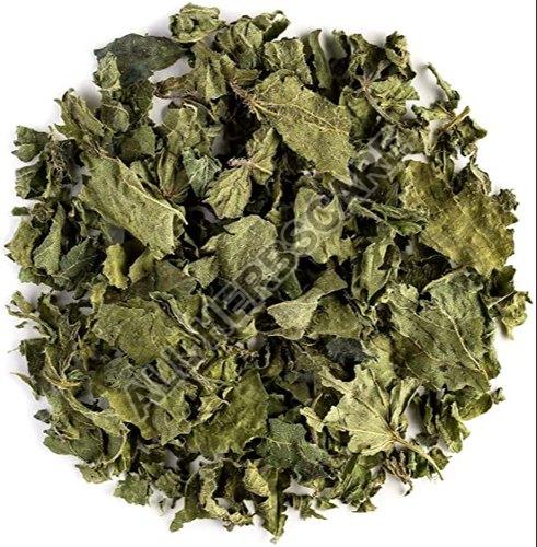 Organic Dried Nettle Leaves, Feature : Highly Effective, Insect Free