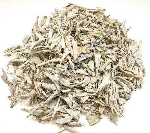 Organic Dried Sage Leaves, Feature : Insect Free, Nice Aroma
