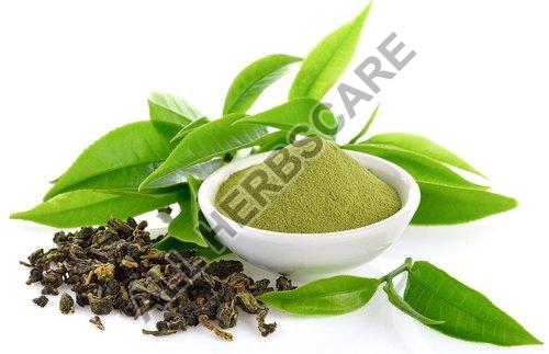 Organic green tea extract
