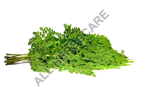 Organic Moringa Leaf Extract, for Medicinal, Food Additives