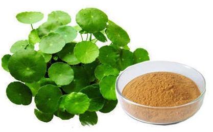 Bacopa Monnieri Extract