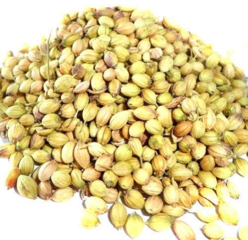 coriander seeds