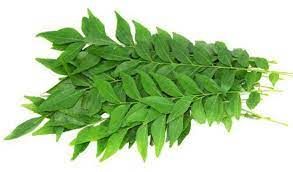 curry leaves