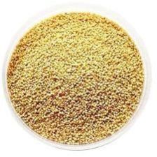 foxtail millet