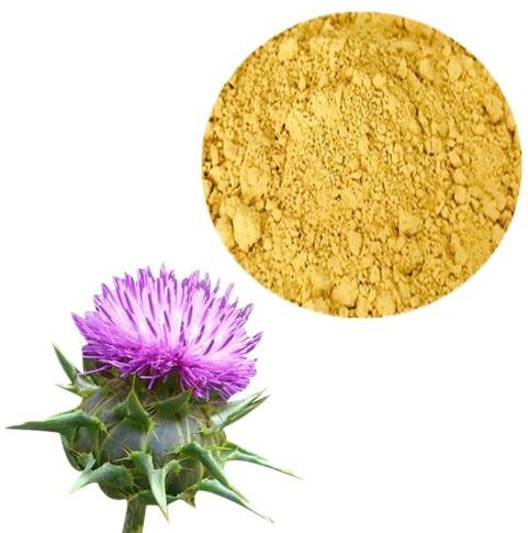 Milk Thistle Extract