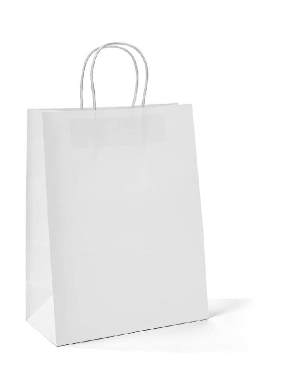Plain Bleached Kraft Paper Bags, Capacity : 1kg, 2kg, 500gm, 5kg