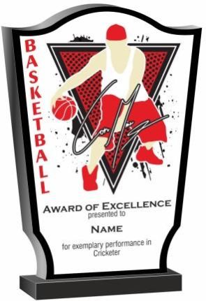 Budget Basketball Trophy