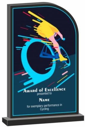 Budget Cycling Award