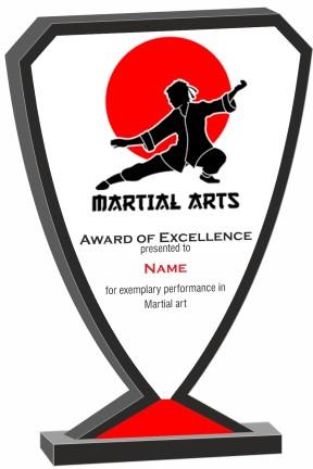MDF Budget Martial Arts Trophy