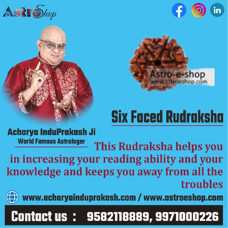 Six faced Rudraksha | Astroeshop, for Religious, Variety : 1-5Mukhi, 5-10Mukhi