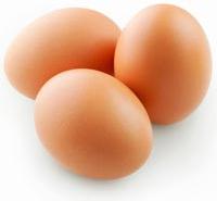 poultry eggs white brown
