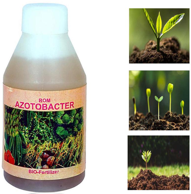 Azotobacter Bio-Fertilizer