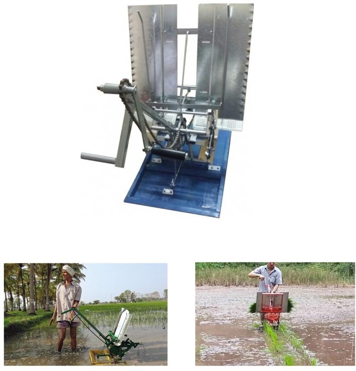 Double Rows Manual Rice Planter