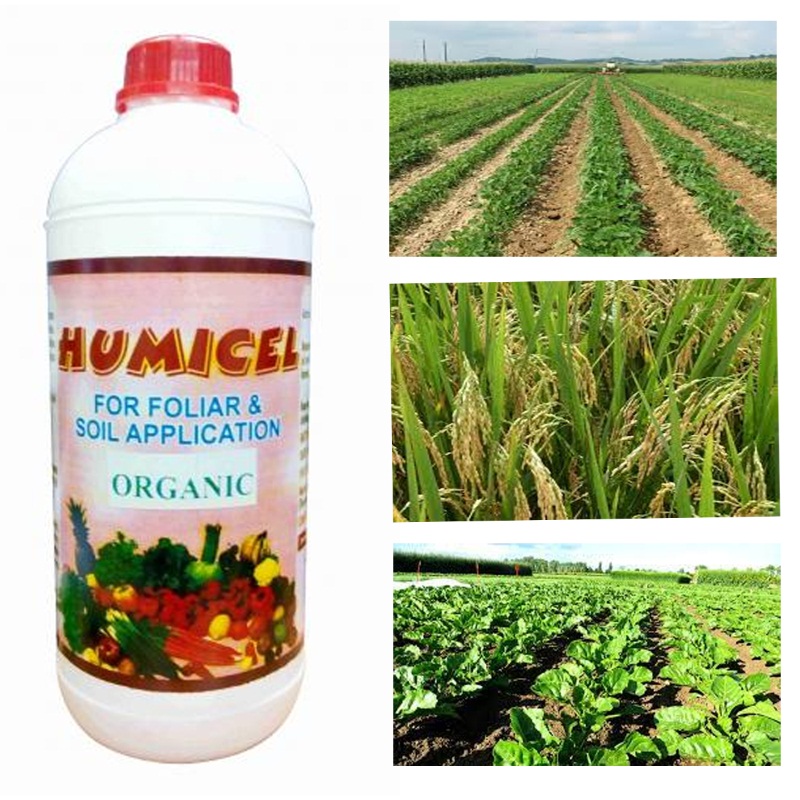 Humicel Humic Acid Fertilizer