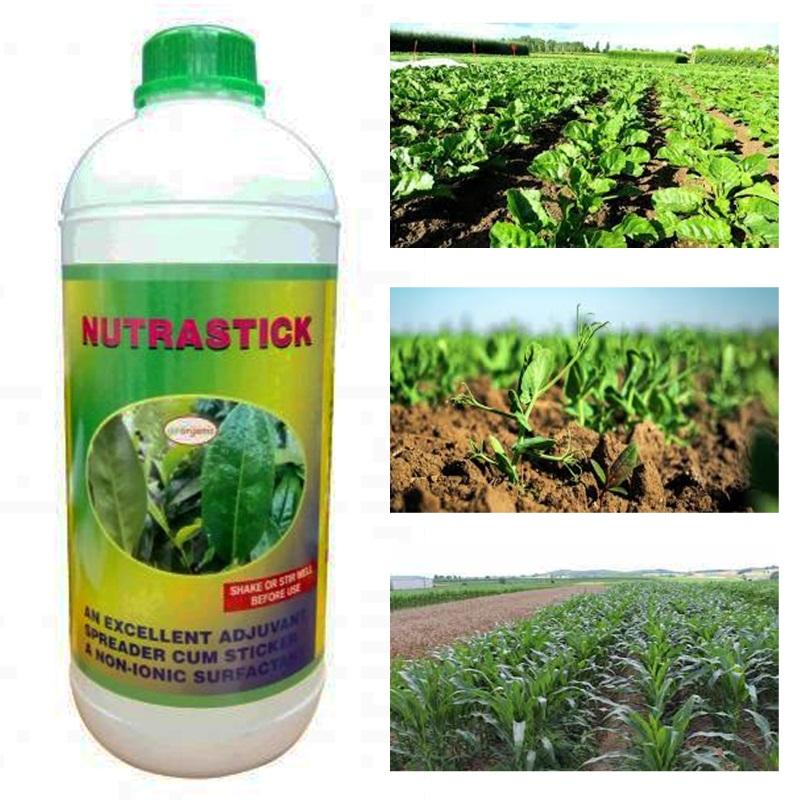 Gassin Pierre Nutrastick Organic Fertilizer
