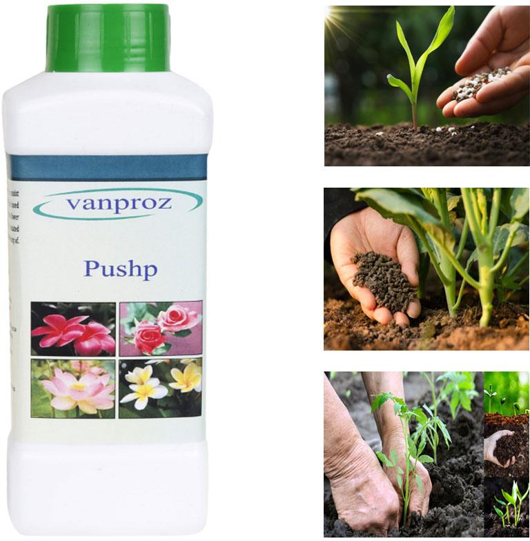 Vanproz Organic Pushp
