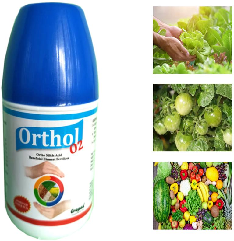 Orthol-02 - Orthosilicic Acid