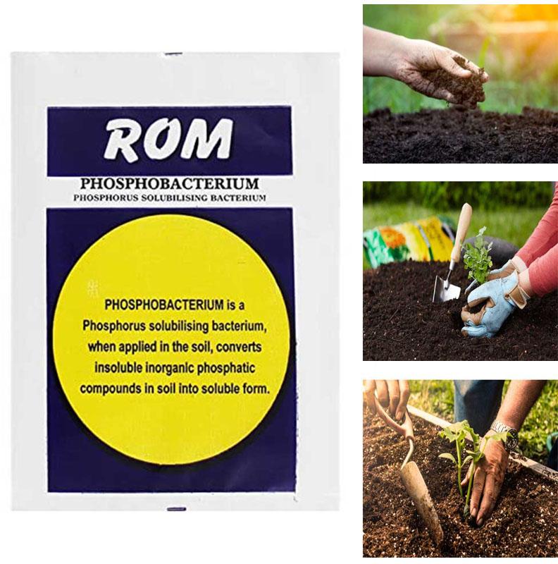 Phosphobacterium BioFertilizer