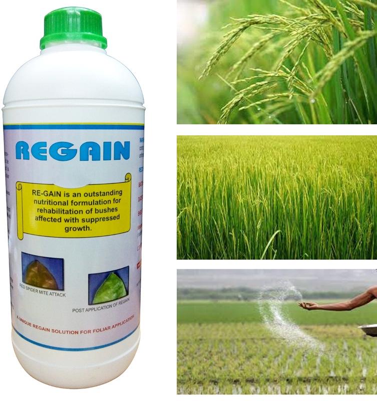 Gassin Pierre Regain Organic Fertilizer