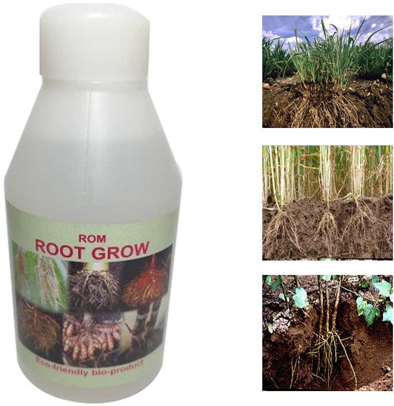 ROM Root Grow Biofertilizer
