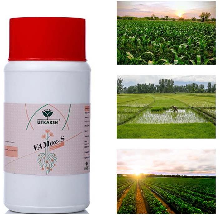 VaMoz-S Mycorrhiza Powder