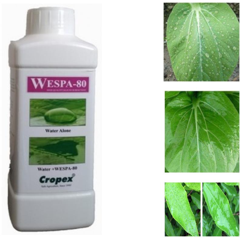 WESPA-80 Agricultural Spray Adjuvant