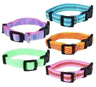 Plastic Polyester Small Adjustable Dog Collars, for Animal Use, Style : Belt, Buckle