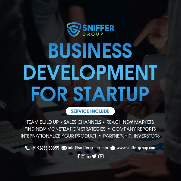 business development services