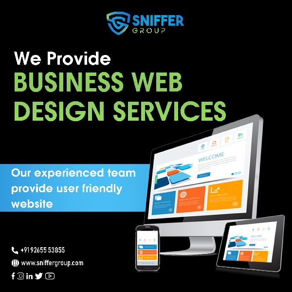 business website design service